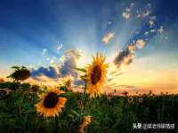 泰兴市慧然教育信息咨询有限公司