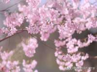 泰兴市慧然教育信息咨询有限公司