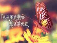 泰兴市慧然教育信息咨询有限公司