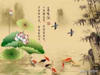 泰兴市慧然教育信息咨询有限公司