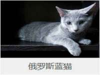 泰兴市慧然教育信息咨询有限公司
