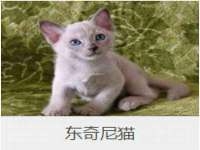 泰兴市慧然教育信息咨询有限公司