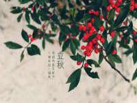 泰兴市慧然教育信息咨询有限公司