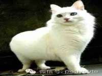 泰兴市慧然教育信息咨询有限公司