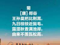 泰兴市慧然教育信息咨询有限公司