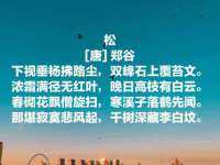 泰兴市慧然教育信息咨询有限公司