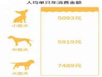 泰兴市慧然教育信息咨询有限公司