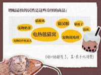 泰兴市慧然教育信息咨询有限公司