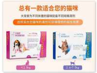 泰兴市慧然教育信息咨询有限公司