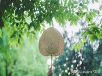 泰兴市慧然教育信息咨询有限公司