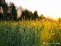 泰兴市慧然教育信息咨询有限公司
