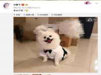 泰兴市慧然教育信息咨询有限公司